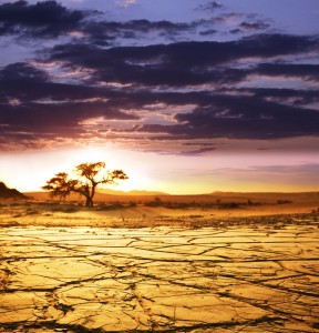 shutterstock_72643942[1]