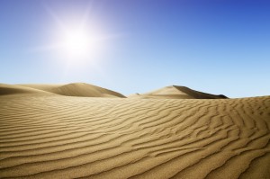 shutterstock_96973934[1]
